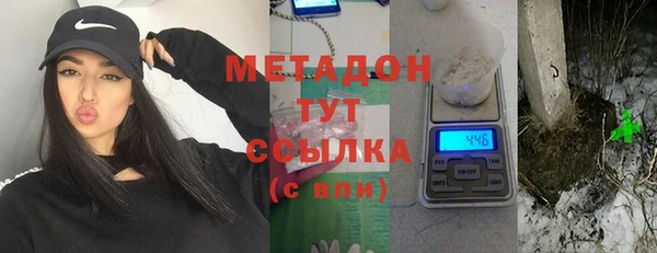 гидра Вязьма