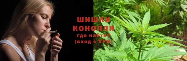 спайс Вяземский