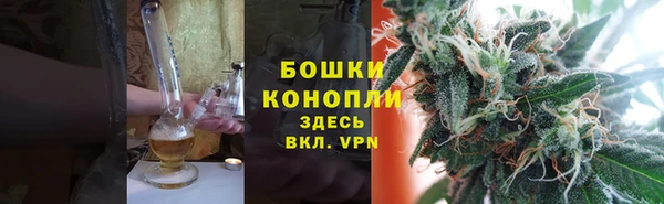 гидра Вязьма