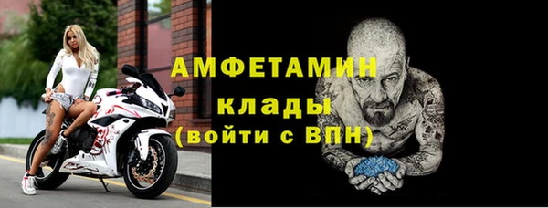 гидра Вязьма