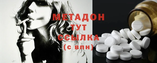 гидра Вязьма