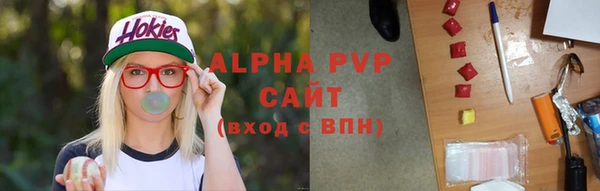 спайс Вяземский