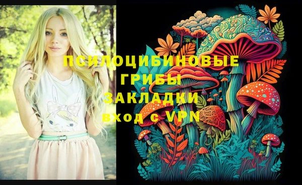 спайс Вяземский