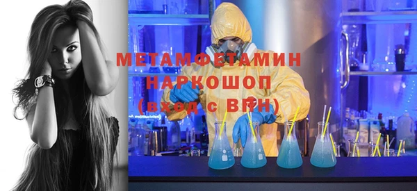 гидра Вязьма