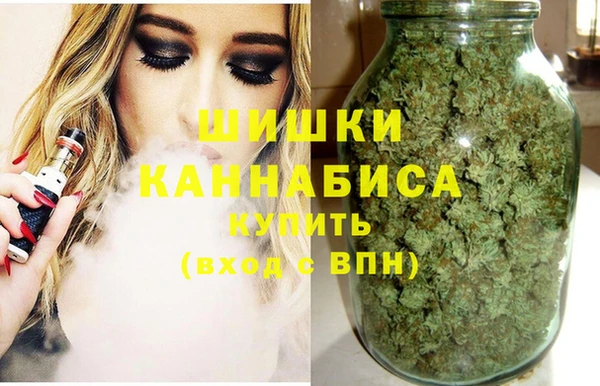 гидра Вязьма