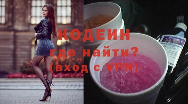 гидра Вязьма