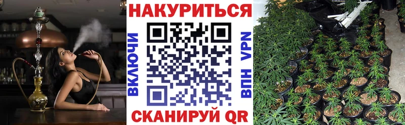 Каннабис ГИДРОПОН  купить наркотик  Каменск-Уральский 